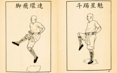 Speciální techniky PHK: “Kop ve výskoku” a “Naskočené koleno”