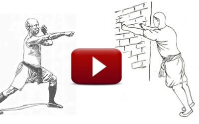 Speciální techniky PHK: “Fénixovo oko”